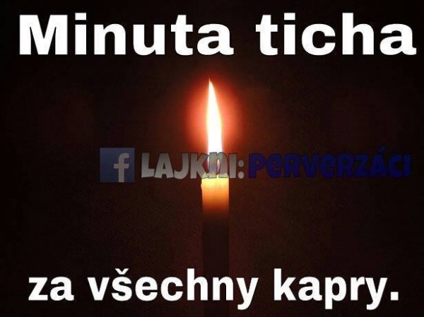 kapr